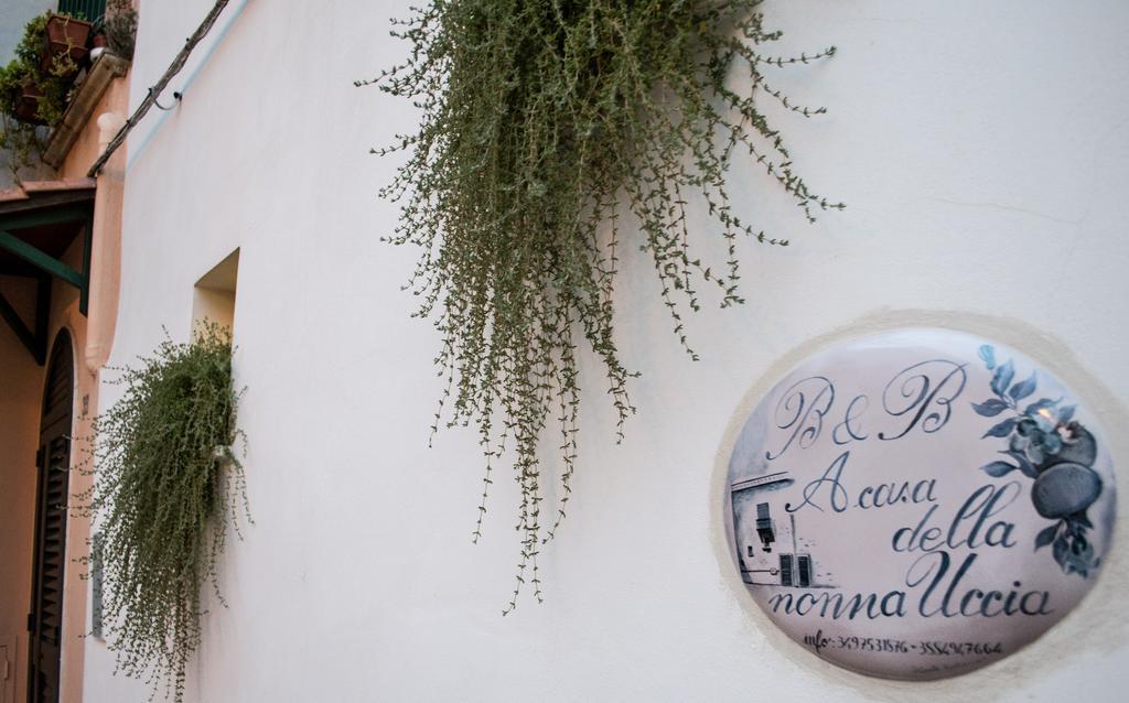 B&B A Casa Della Nonna Uccia Nardò 外观 照片